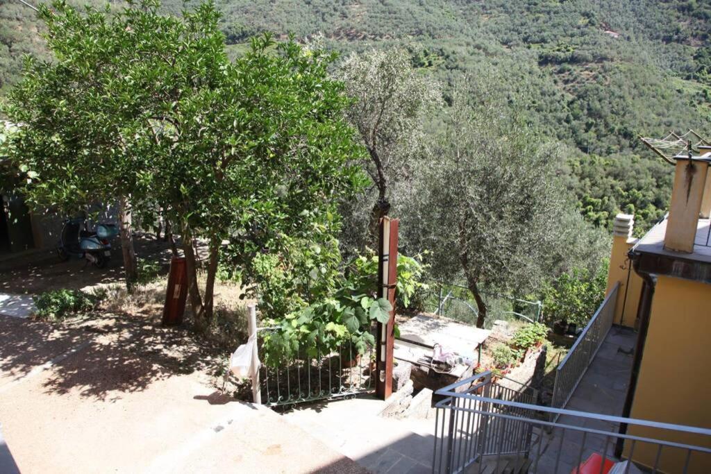 Le Case Della Lizza - Casa Verde Levanto Exterior photo